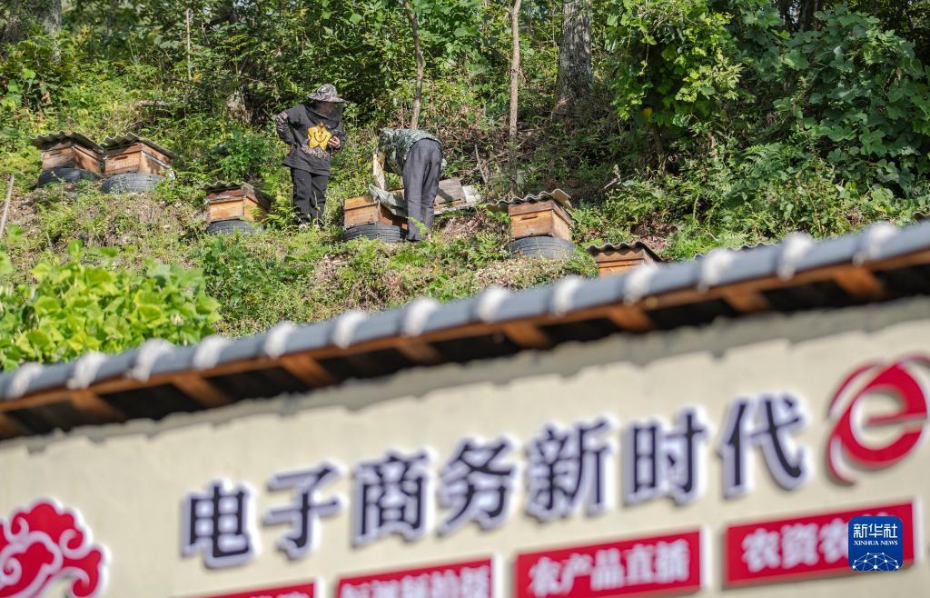开户注册平台